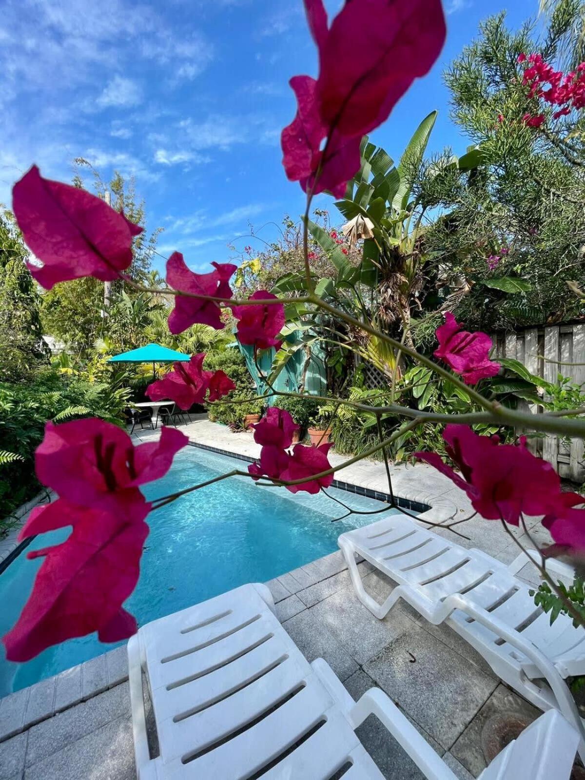 Delight And Cozy Apt Close To Las Olas & The Beach Форт-Лодердейл Экстерьер фото